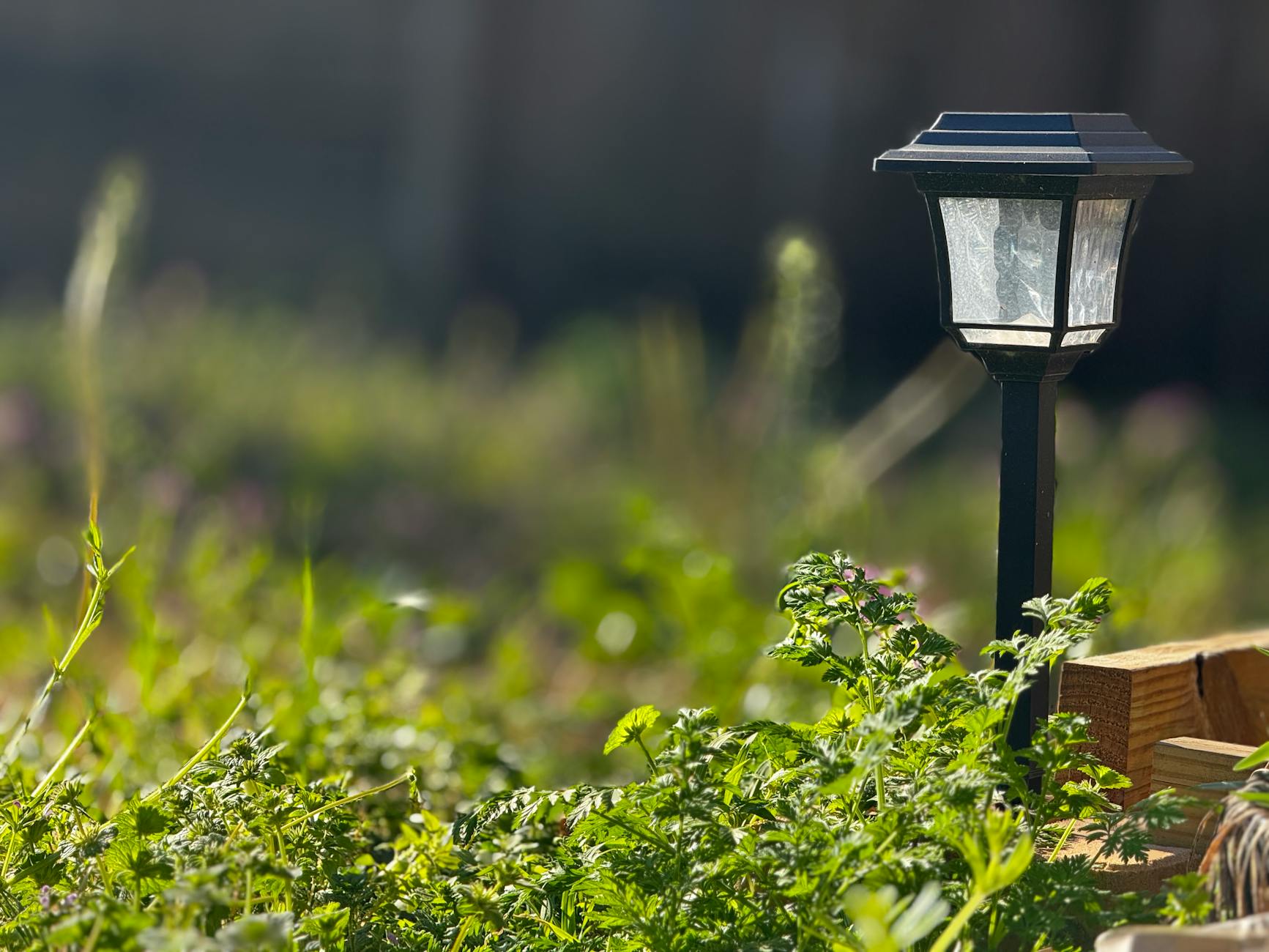 Éclairage solaire dans un jardin