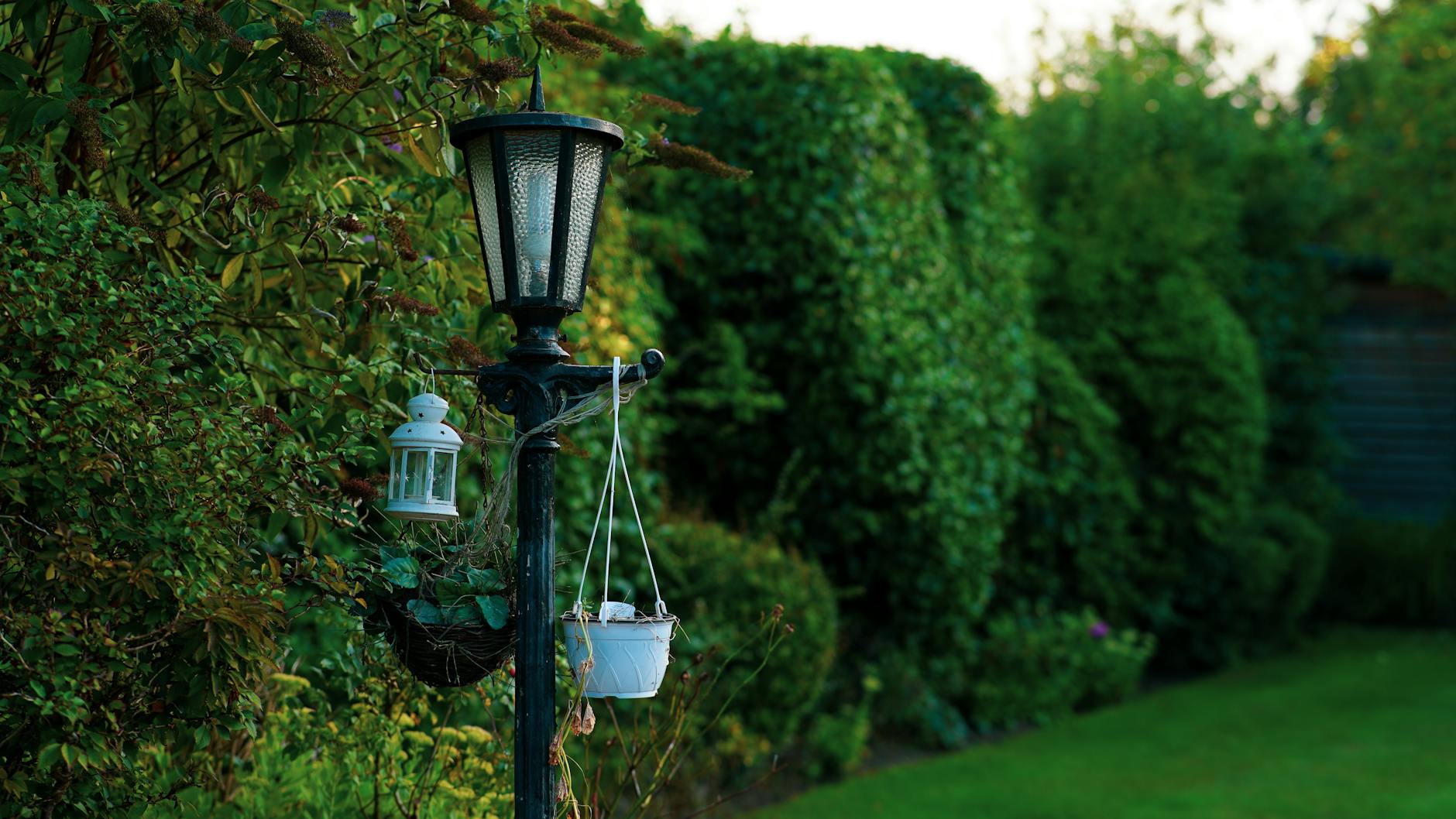 Lanterne lumineuse dans un jardin